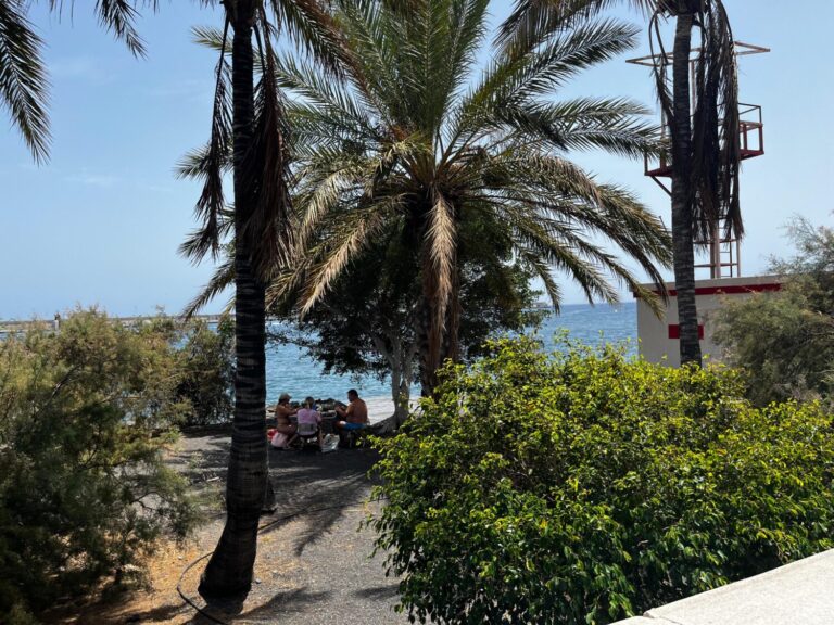 Una jornada calurosa en la que en diversos puntos de Canarias se han superado los 40 grados