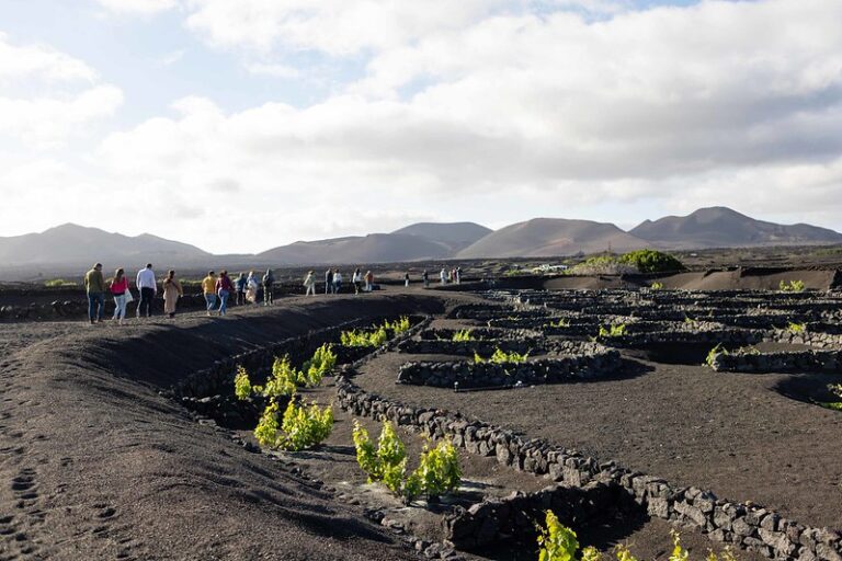 Lanzarote aprueba el documento de Alcance del Plan Especial de La Geria