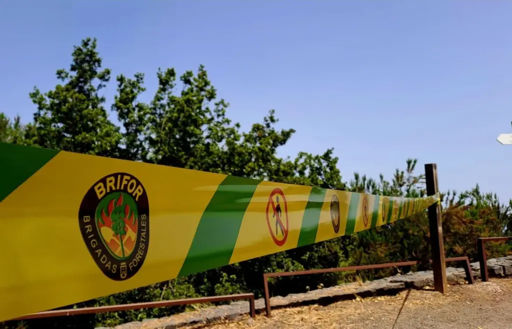 Continúa el riesgo por incendios forestales. Imagen Cabildo de Tenerife