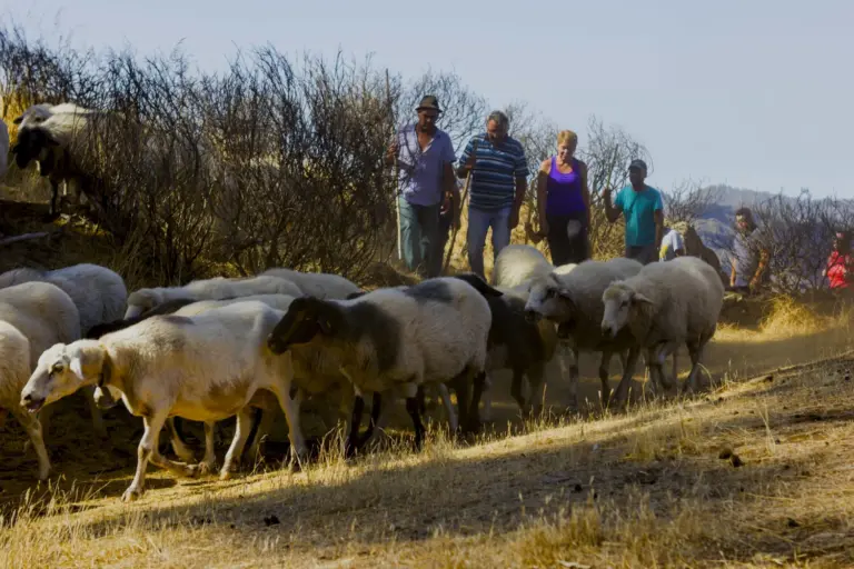 Las Montañas Sagradas de Gran Canaria llegan a Google Earth