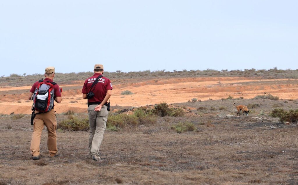 El Cabildo de Lanzarote refuerza las investigaciones sobre los casos de envenenamiento con la actuación de la unidad canina de Gran Canaria