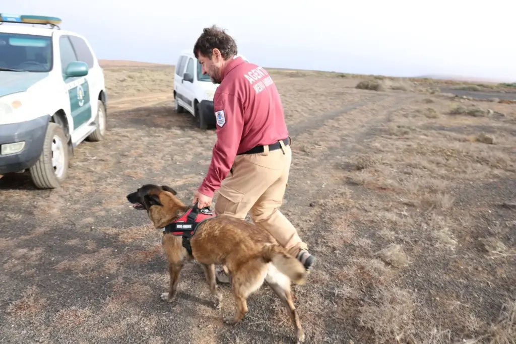 Lanzarote mantiene la prohibición de la caza en Haría tras un nuevo caso de envenenamiento