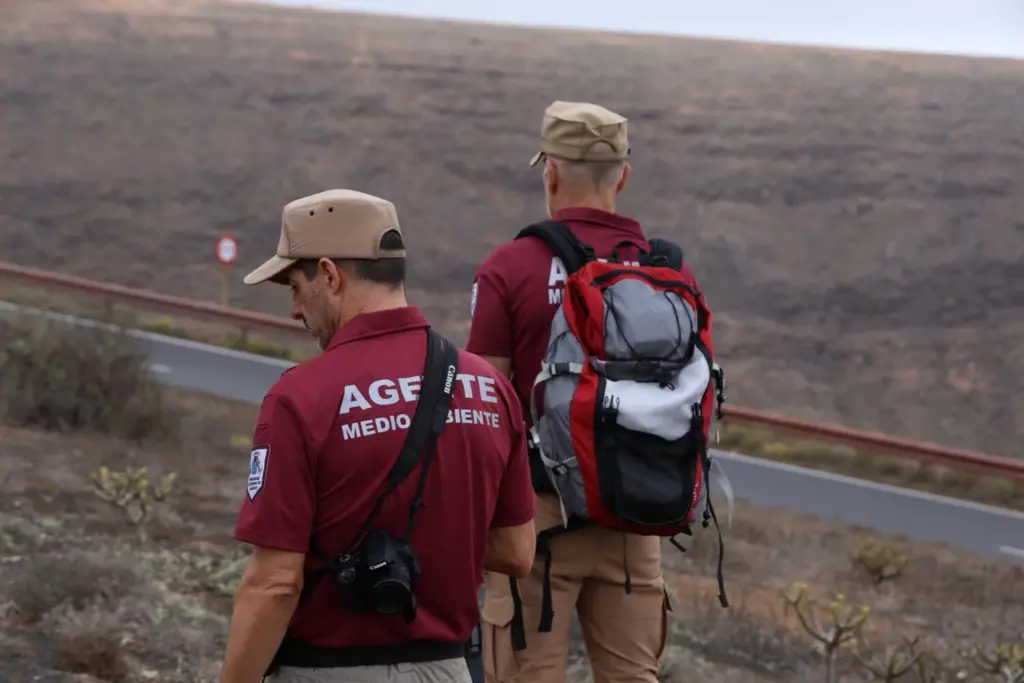 Lanzarote mantiene la prohibición de la caza en Haría tras un nuevo caso de envenenamiento