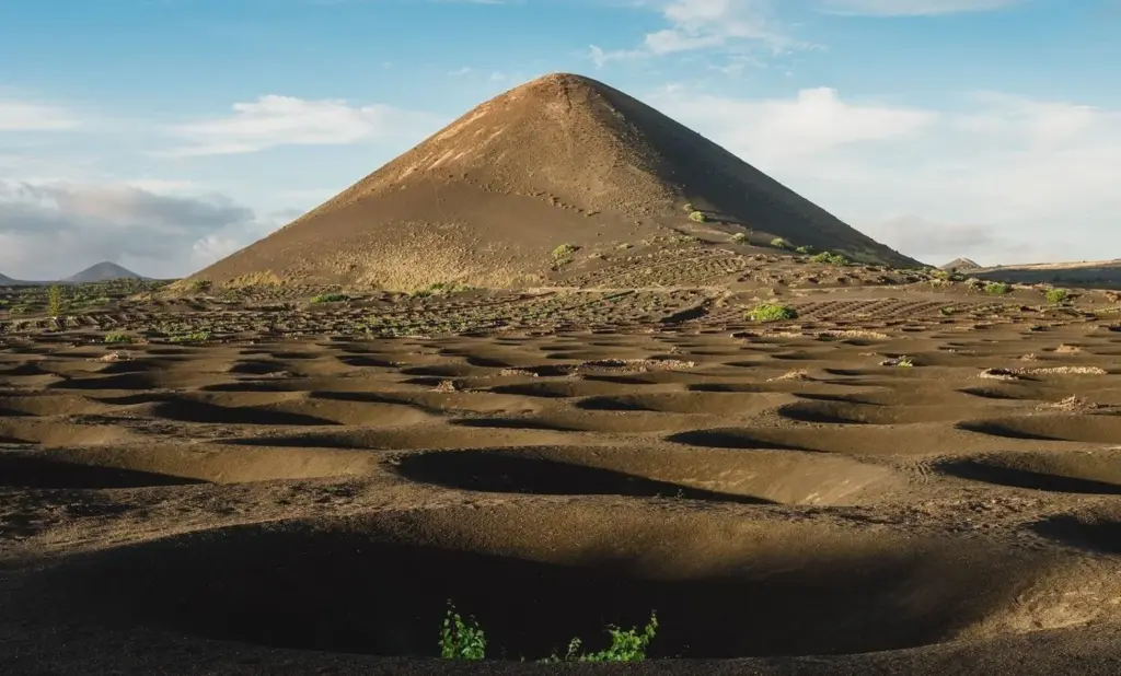 Cultivo de la vid en Lanzarote. Imagen Consejo Regulador D.O. Vinos de Lanzarote