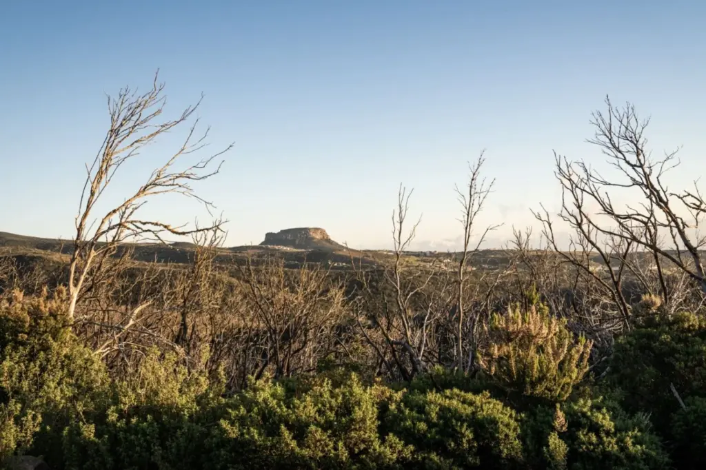 Zona alta de la isla de La Gomera. Imagen Cabildo de La Gomera