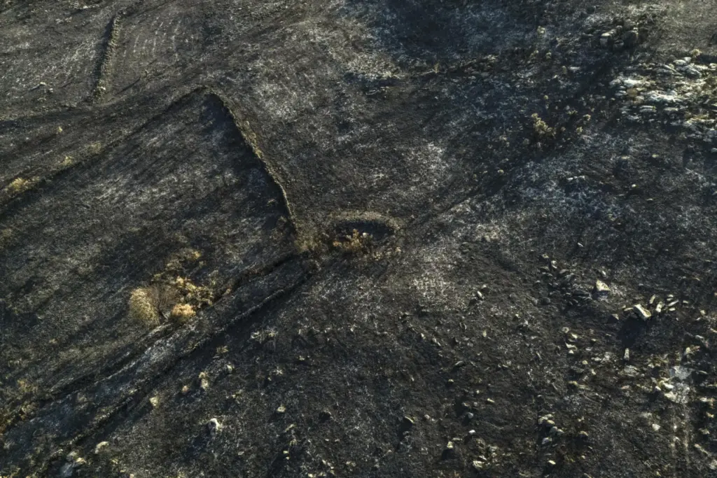 Vista aérea de la superficie calcinada en A Mezquita (Ourense)