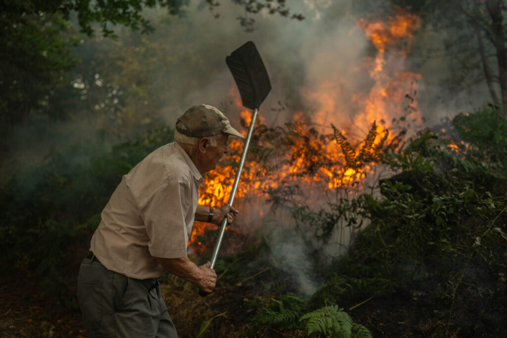Los incendios devoran 8 comunidades españolas y dejan 4 heridos críticos. Un vecino de la aldea de Pareisás lucha contra en fuego en el incendio forestal que permanece activo en A Pobra de Trives (Ourense). EFE/Brais Lorenzo