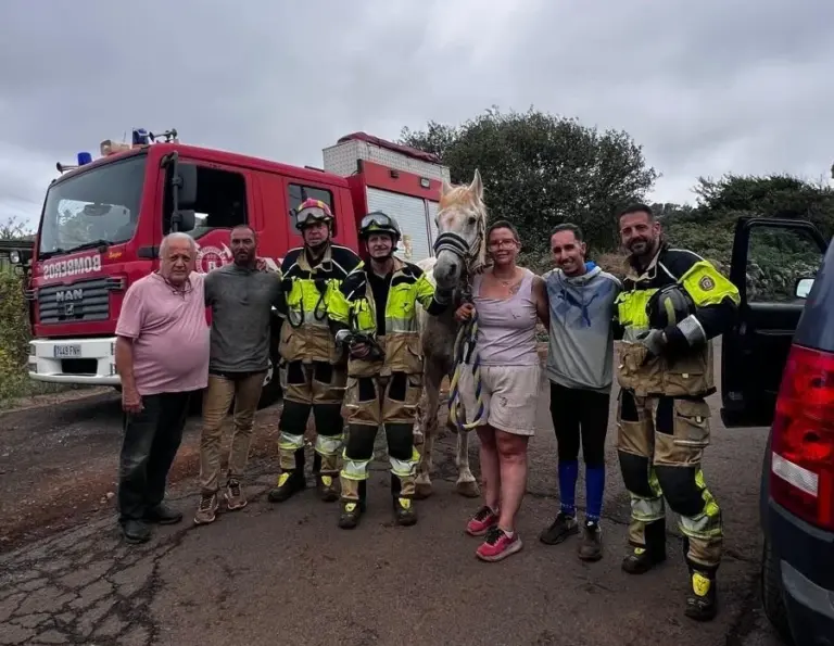 Rescatan a un caballo precipitado por un barranco en Tenerife