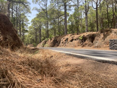 Canarias mantiene la alerta por riesgo de incendios en El Hierro, La Gomera, La Palma y zonas de Tenerife y Gran Canaria