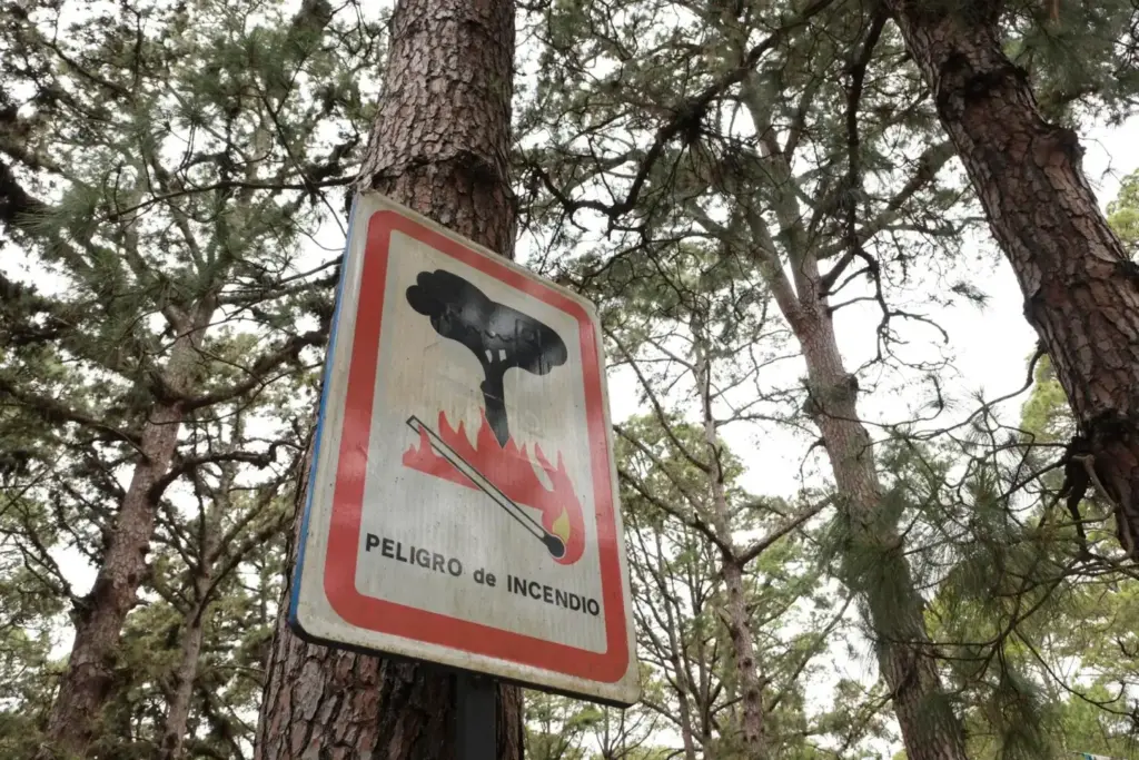 En la imagen de archivo, un cartel alerta del riesgo de incendio forestal. EFE/Alberto Valdés