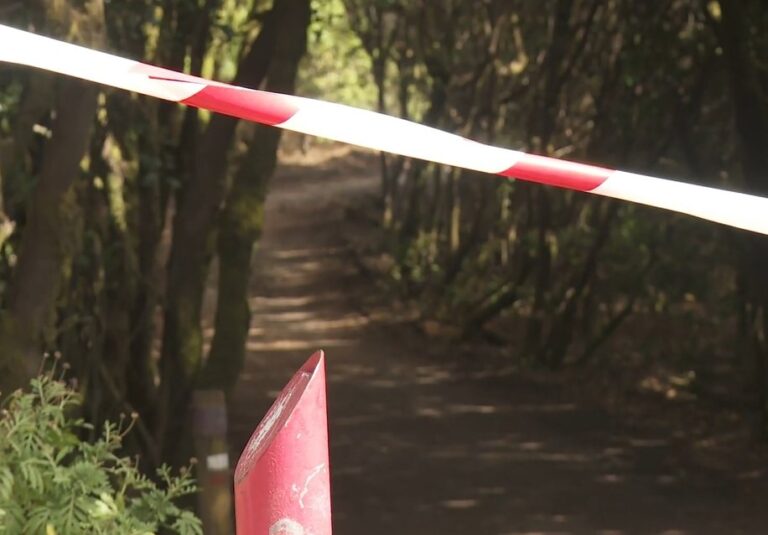 El Gobierno de Canarias eleva la alerta máxima por riesgo de incendios forestales