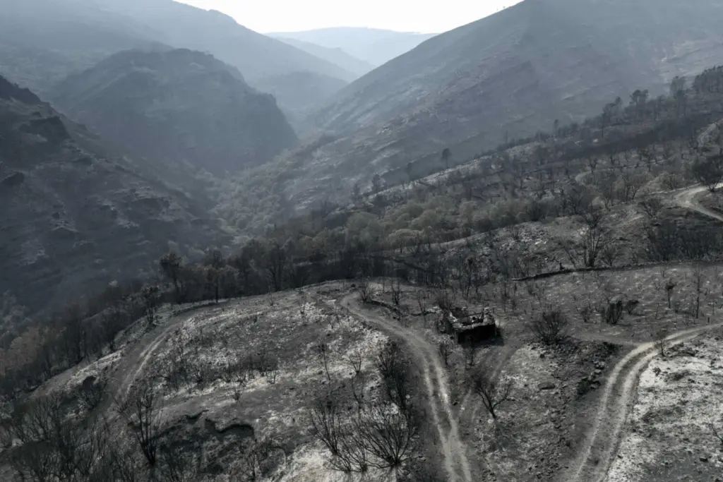 Mejoran los incendios en la península, aunque hay riesgo de nuevos fuegos