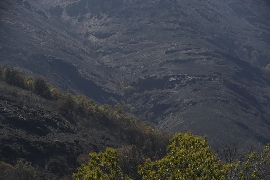 Vista de una zona quemada este sábado en las inmediaciones de Cruz do Outeiro. Los servicios de extinción han logrado estabilizar el peor incendio de la historia de Galicia desde que hay registros, el de Larouco (Ourense), que ha cruzado a Quiroga, en la provincia de Lugo. EFE/ Eliseo Trigo