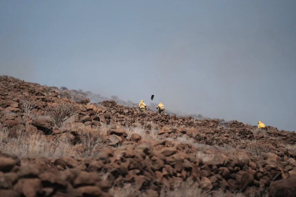 Como medida de prevención frente a incendios, la limpieza de huertos es responsabilidad de los propietarios, pero las autoridades pueden actuar