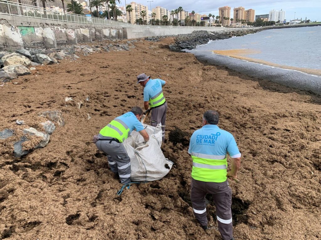 Las Palmas de Gran Canaria licita el nuevo contrato para la limpieza del litoral y las playas