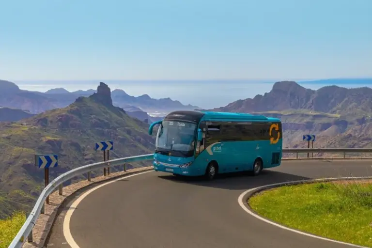 Presentan el dispositivo especial de transporte público para las Fiestas de Teror
