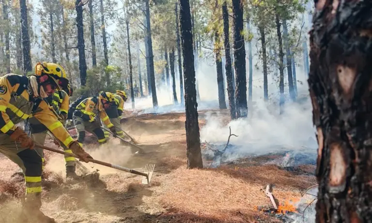 El incendio de El Hierro evidencia la importancia de las labores preventivas y del refuerzo aéreo en la lucha contra el fuego