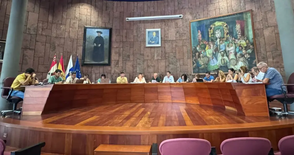 Pleno del Cabildo de La Gomera de este viernes