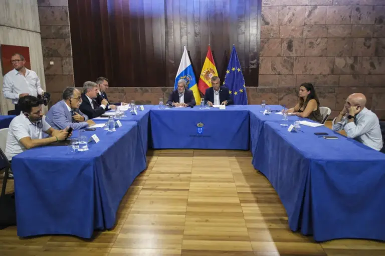 Una delegación de eurodiputados busca vías de financiación para abordar la crisis migratoria en Canarias