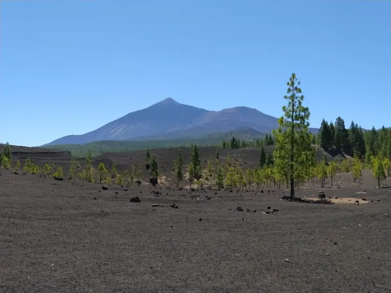 El viento alisio volverá a soplar con intensidad en las próximas horas en las islas