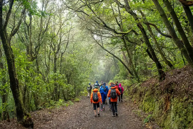 Este fin de semana se celebra una nueva edición del Anaga Biofest