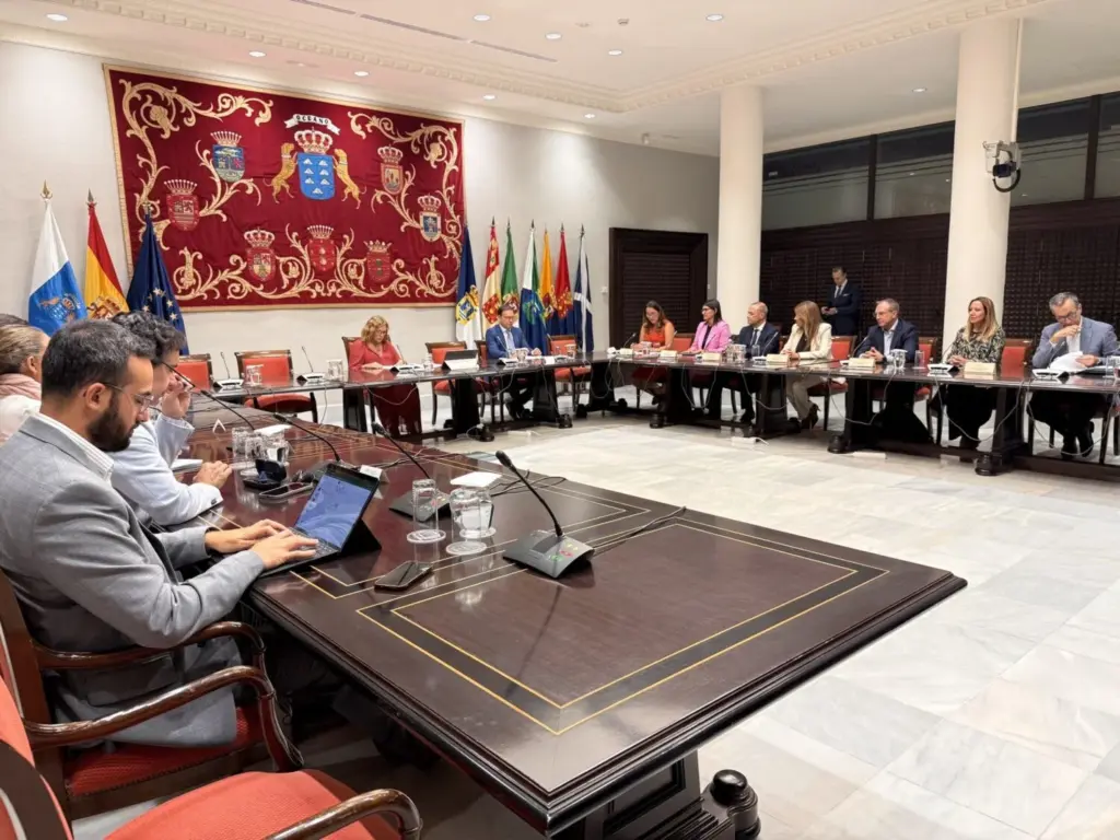 Los cabildos presentan la propuesta de modificación de la Ley de Cabildos Insulares. Imagen Cabildo de La Palma