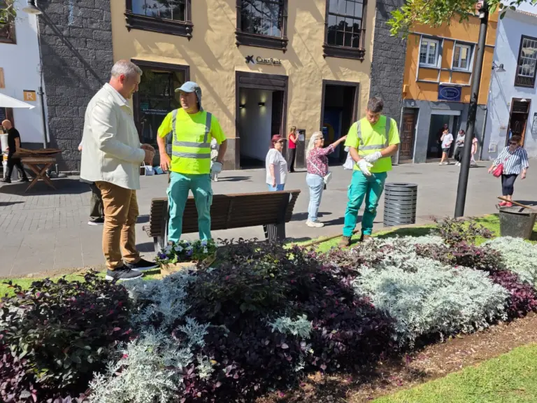 La Laguna planta 2.800 flores de temporada en sus plazas