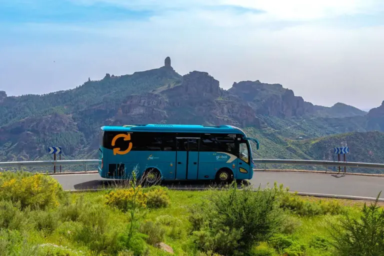 Paros de guaguas para que todos los chóferes cobren lo mismo