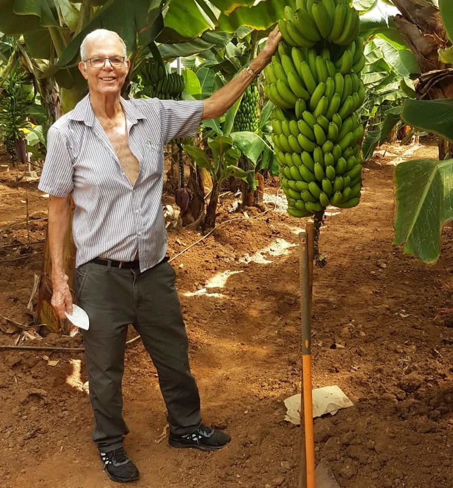 Fallece Manuel Jiménez Sánchez, Pintadera de Oro de Gáldar