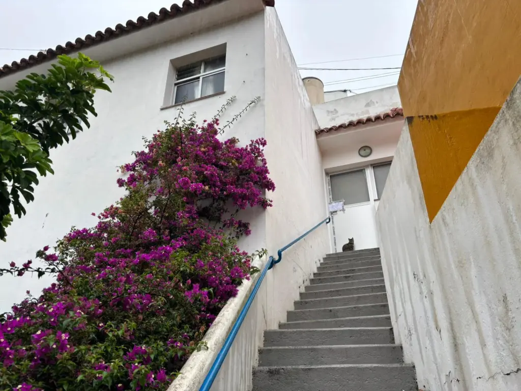 Un hombre mata a su madre a puñaladas en San Lorenzo, En Las Palmas de Gran Canaria