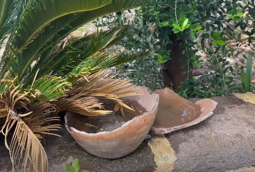 Bebedero de pájaros para las olas calor compartido por Pascual Calabuig