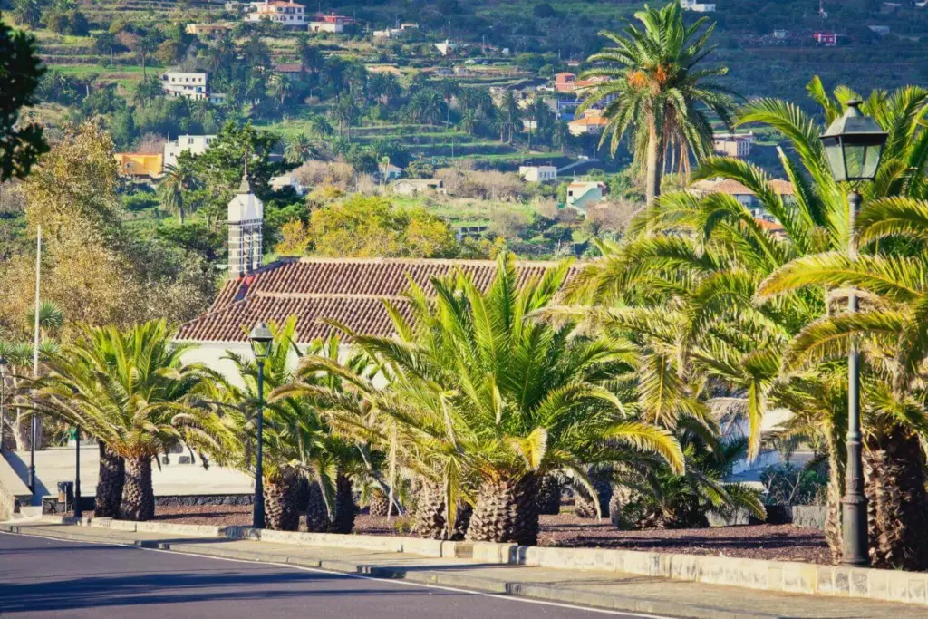 Fallece por inhalación de gases en Breña Alta. (Archivo) Breña Alta.