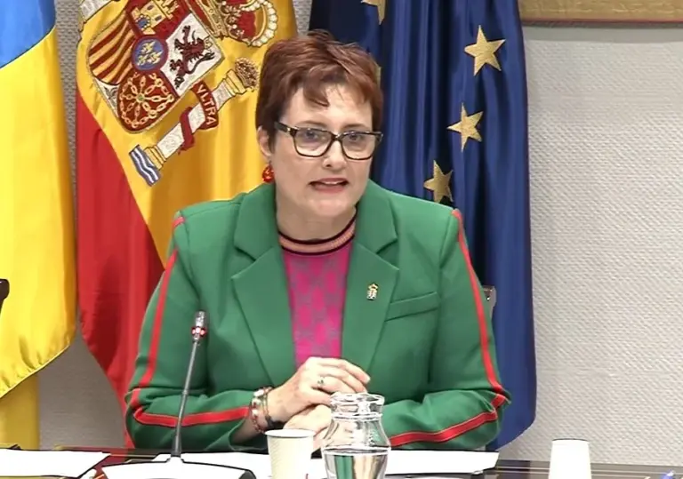Cinco cabildos respaldan el Decreto de Discapacidad del Gobierno de Canarias