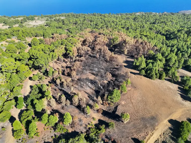 El Hierro continúa con las investigaciones para conocer el origen del incendio del pasado mes de agosto