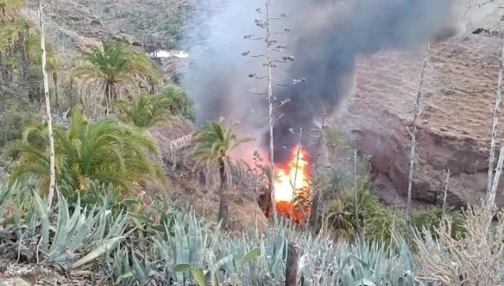 En el lugar del incendio se encuentran Bomberos de Gran Canaria, Guardia Civil, Policía Local, Protección Civil