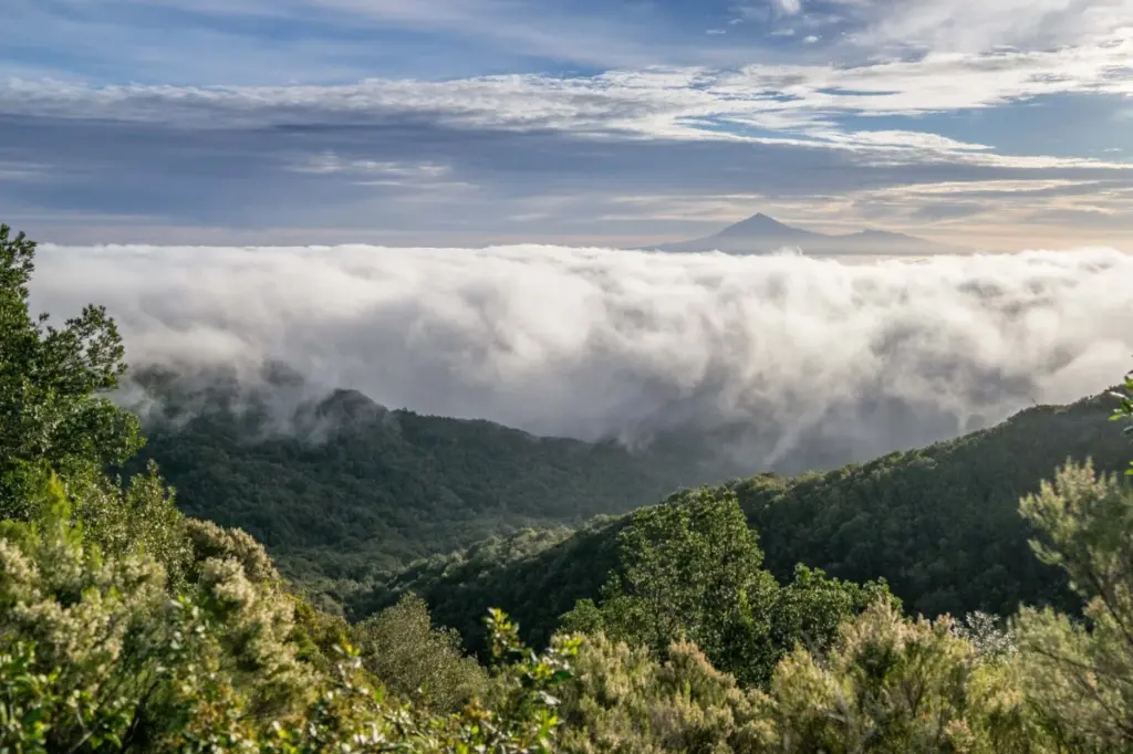 Mar de nubes en La Gomera. Imagen de recurso Cabildo de La Gomera