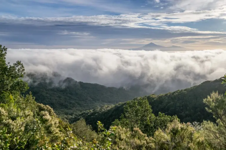 Nubes y humedad dominarán el clima del archipiélago canario esta semana