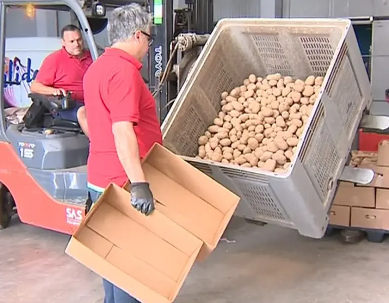 Más de 20 colectivos denuncian la venta en Canarias de papa israelí