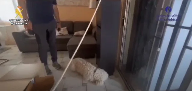 Registros por el asesinato de un matrimonio belga en Tenerife