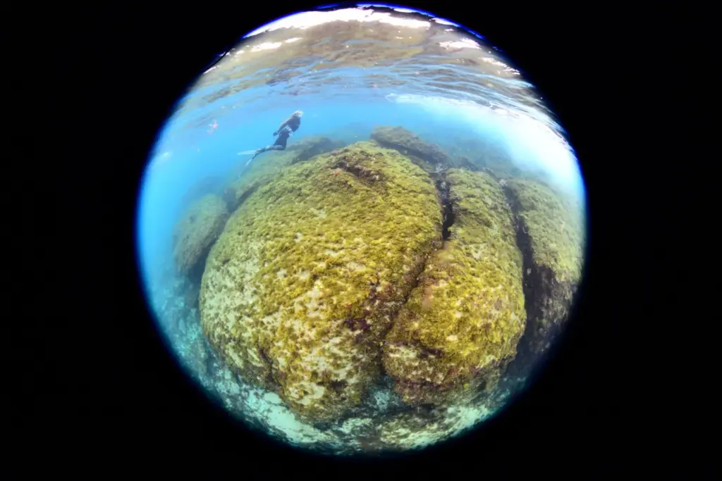 Palmarés Open Fotosub:2º Tanausú Motas García – Yolanda García Fernández