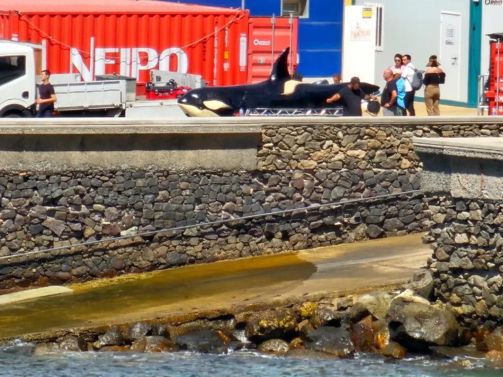 John Travolta continúa con el rodaje de Mareas Negras en Sardina del Norte. En la imagen de arriba, de pasado 26 de septiembre, el actor estadounidense se encontraba grabando en la costa de Gáldar.