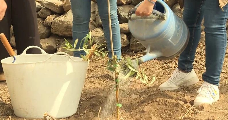 La asociación ATELSAM ofrece un servicio integral de apoyo a personas con enfermedades mentales y a sus familias