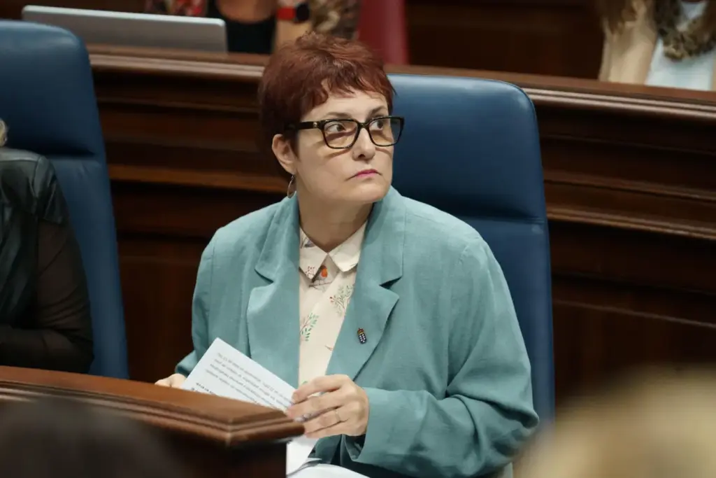 El Gobierno comunica en todo momento a la Fiscalía presuntos delitos en centros de menores. Imagen de archivo de Candelaria Delgado, consejera de Bienestar Social del Gobierno de Canarias. Efe