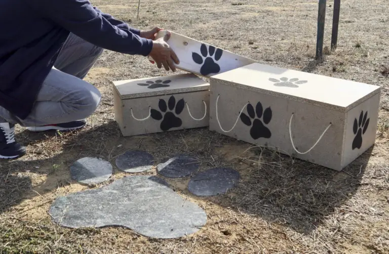 Cómo es y cuánto cuesta un cementerio de mascotas