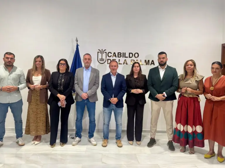 El Cabildo de La Palma reorganiza sus áreas de gobierno