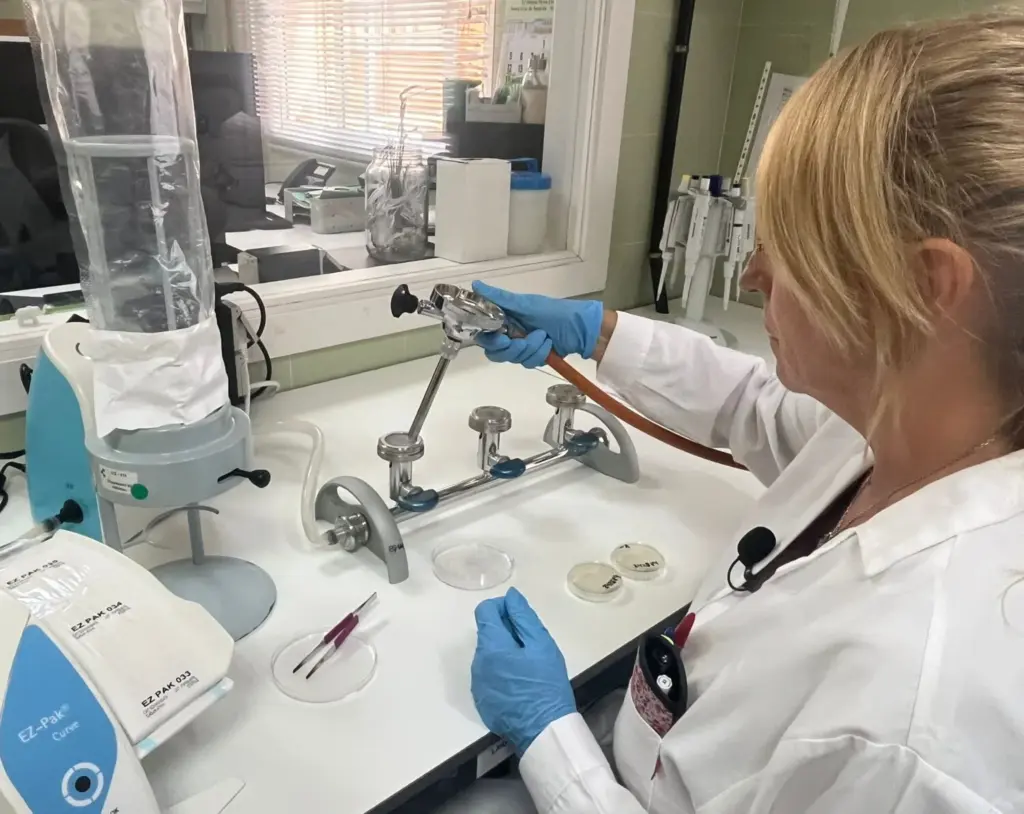 Laboratorio de Salud Pública. Imagen con motivo del Día Mundial One Health.