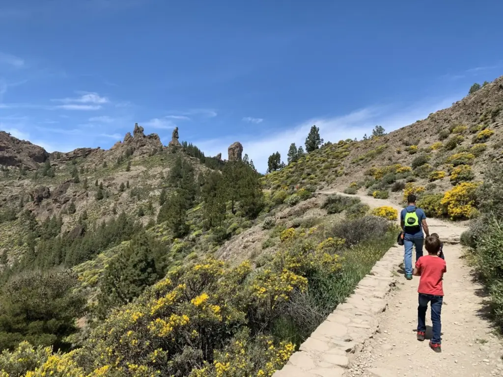 Turistas en la subida al Roque Nublo, en Gran Canaria. Senderismo, cumbre de Gran Canaria - EUROPA PRESS