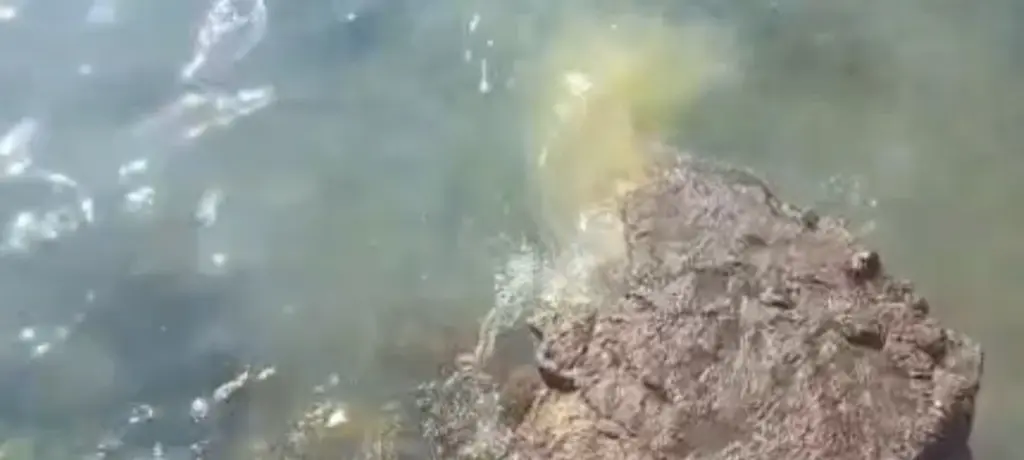 Arrecife cierra la playa de El Reducto por vertidos