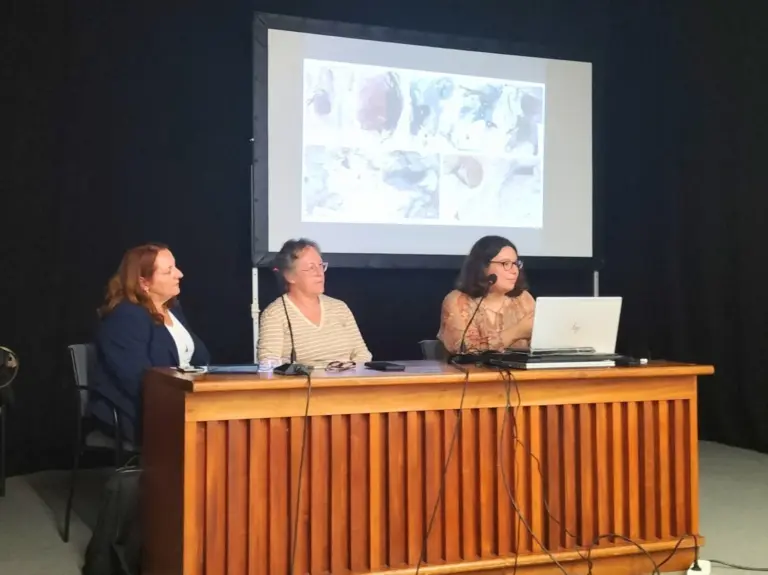 Hallan un fósil vegetal prehistórico en La Laguna