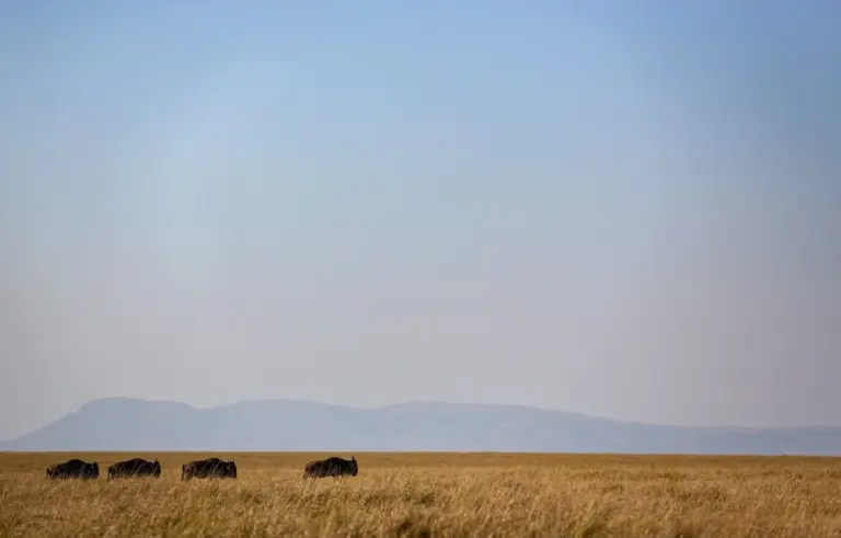 Mueren todos los ocupantes de una avioneta turística tras estrellarse